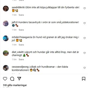 Instagram Svenska Kommentarer