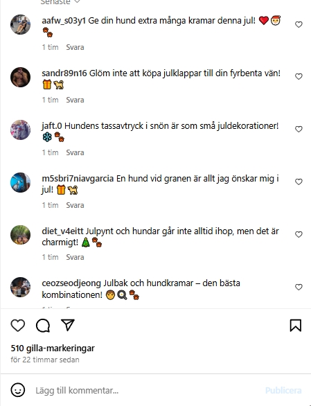Instagram Svenska Kommentarer